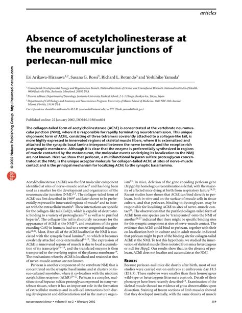 Absence of acetylcholinesterase at the neuromuscular junctions .